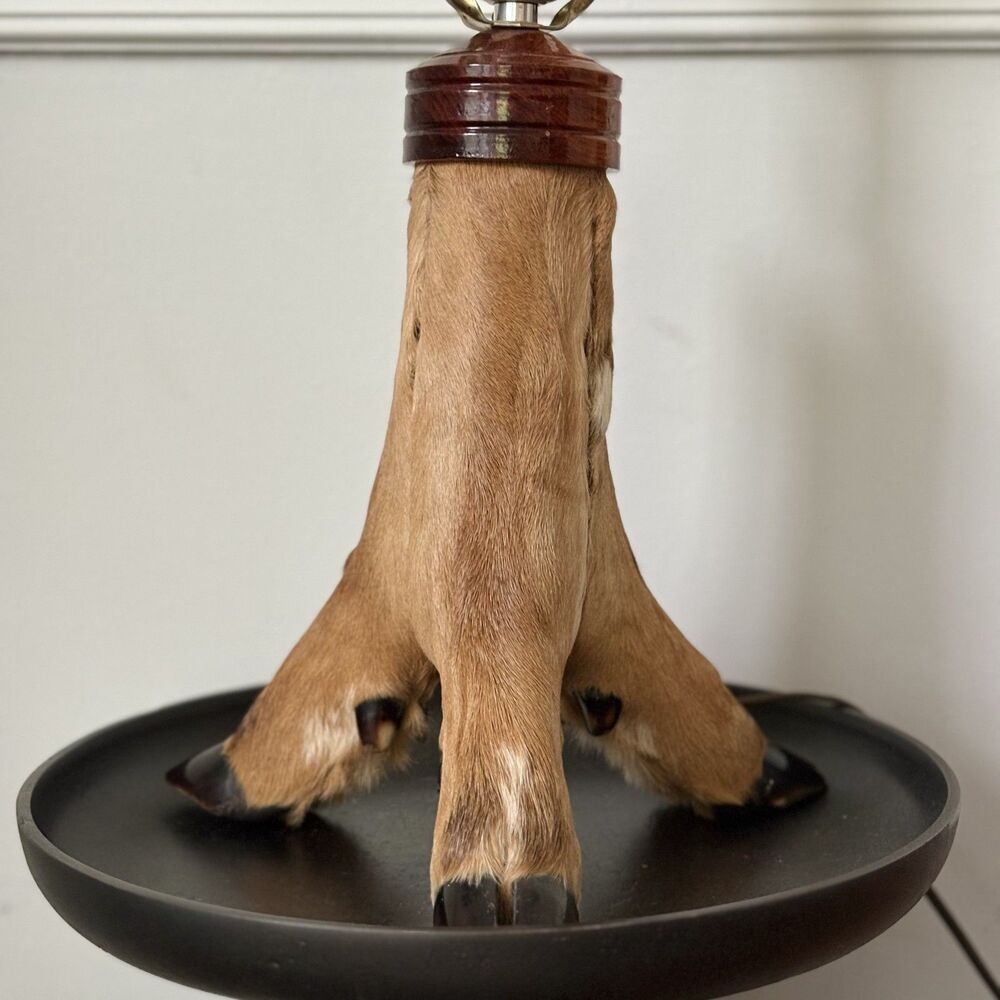 Vintage Taxidermy Deer Hoof Lamp 3 Leg Tripod Base Rustic Cabin Lodge Decor Work - Picture 3 of 13